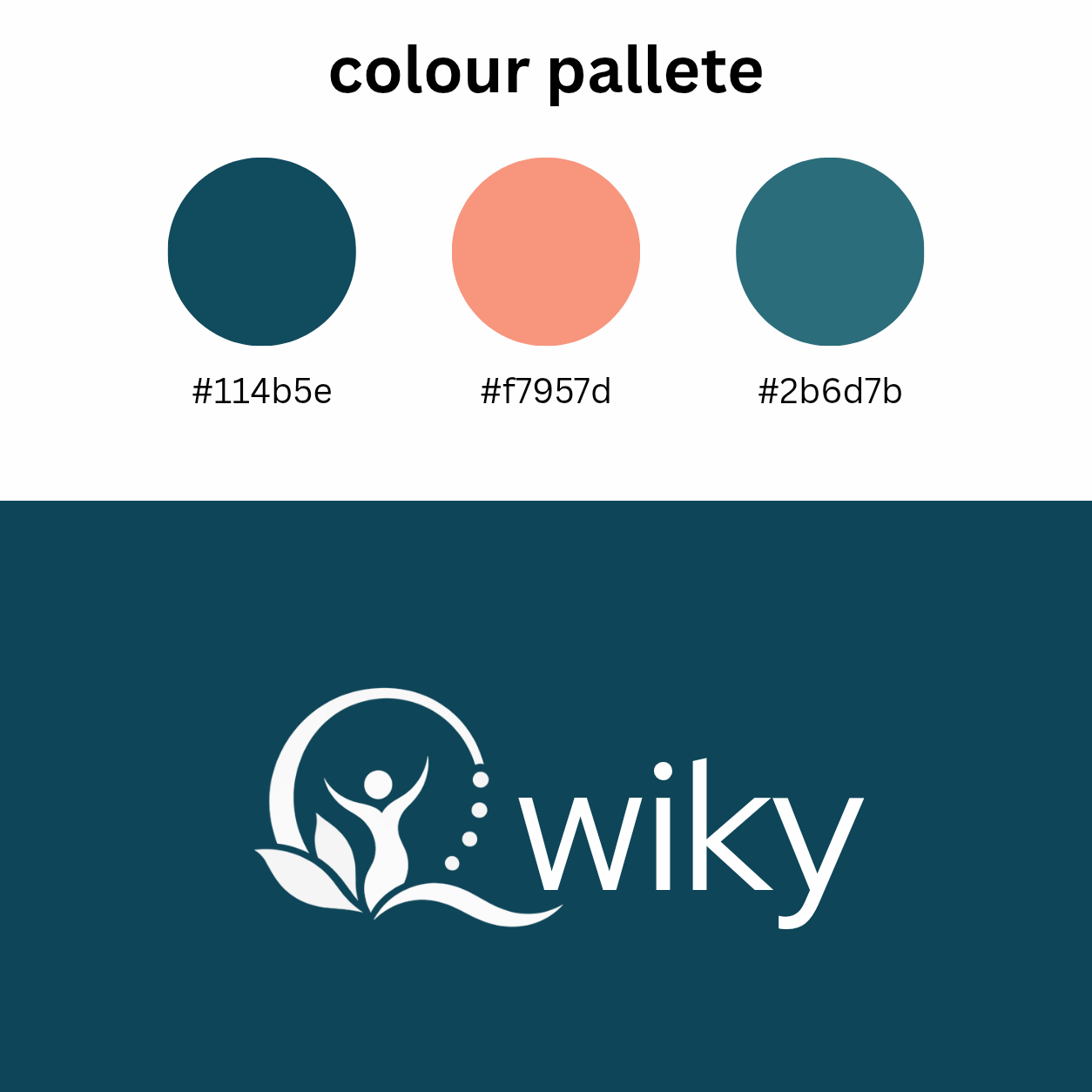 Qwiky Logo Variations